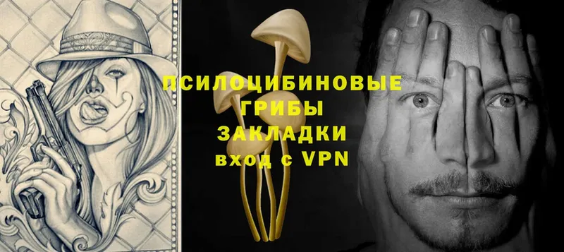 Псилоцибиновые грибы GOLDEN TEACHER  Ликино-Дулёво 